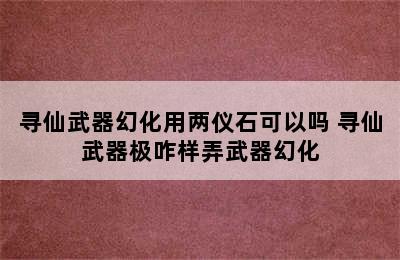 寻仙武器幻化用两仪石可以吗 寻仙武器极咋样弄武器幻化